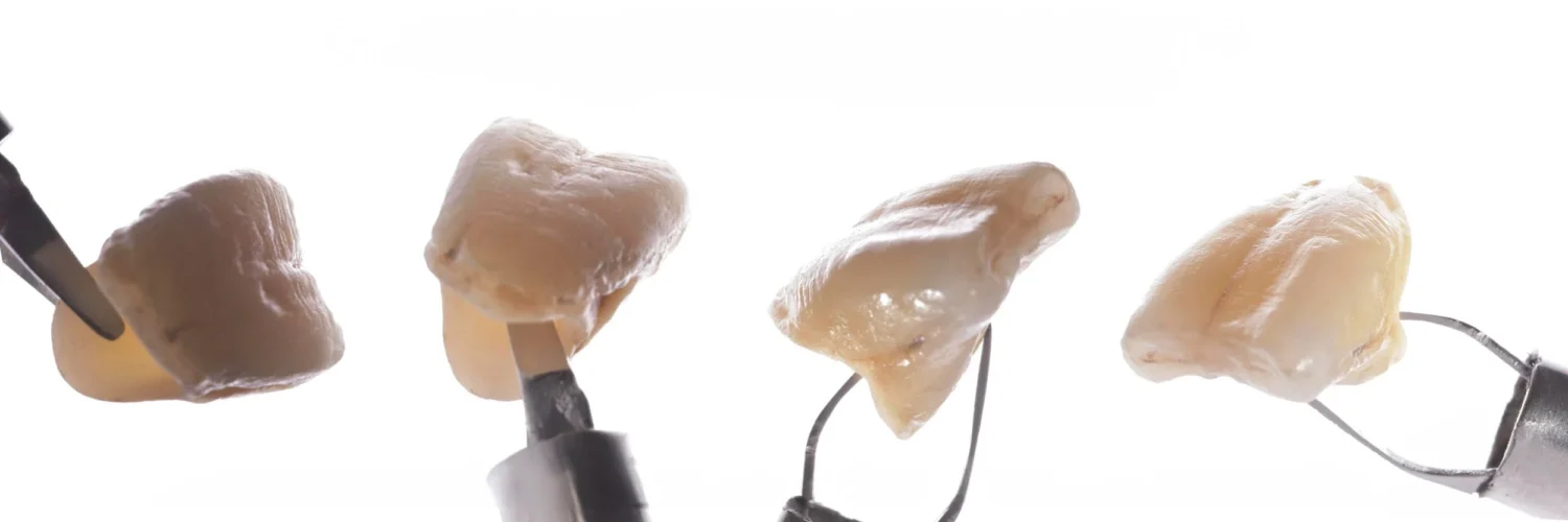 NanoByte™ dental tool for securely gripping and transferring crowns and veneers